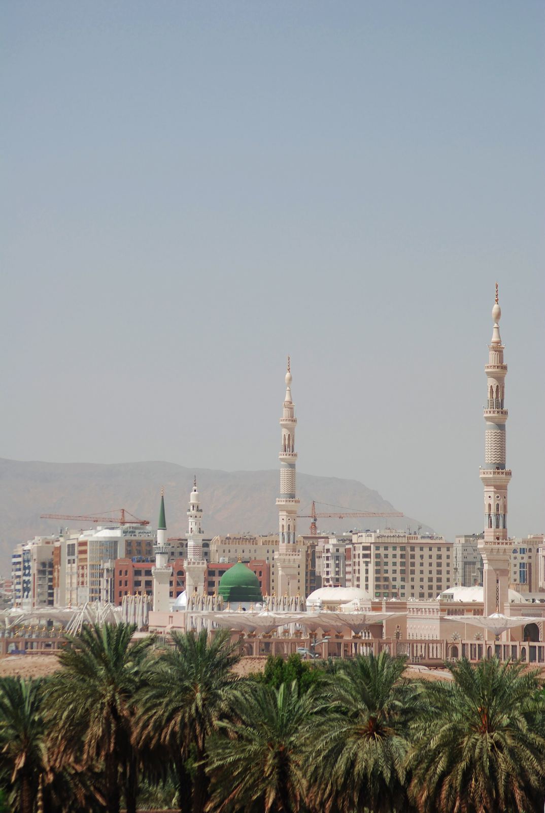 تكتل الصفا والمروة — 4